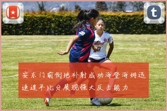 安东门前倒地补射成功海登海姆迅速追平比分展现强大反击能力