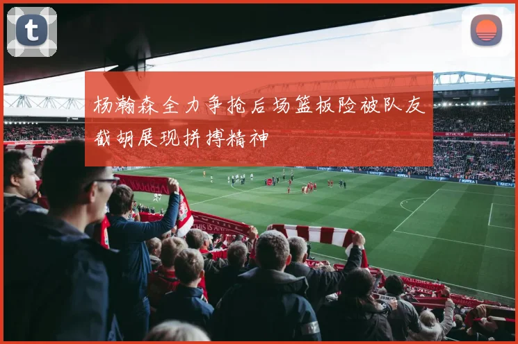 杨瀚森全力争抢后场篮板险被队友截胡展现拼搏精神