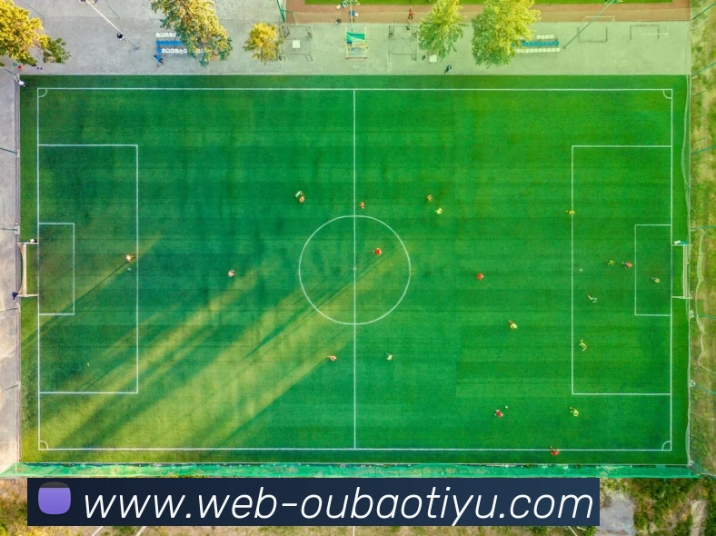 多媒体互动体验